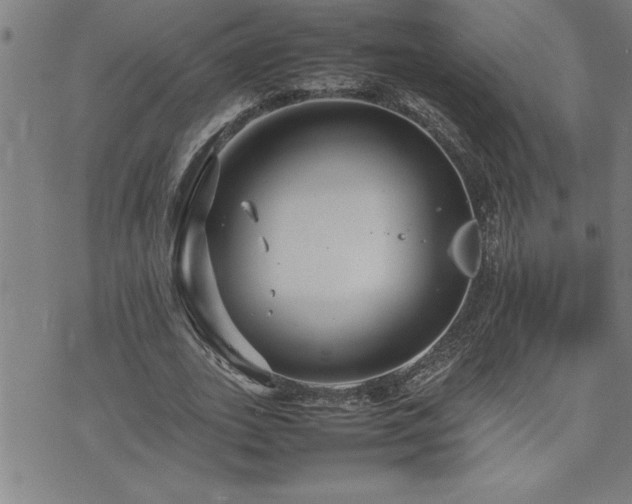 X0000074930727200609011050