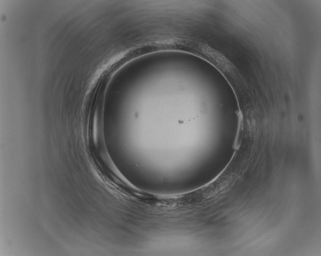 X0000074930728200609011050