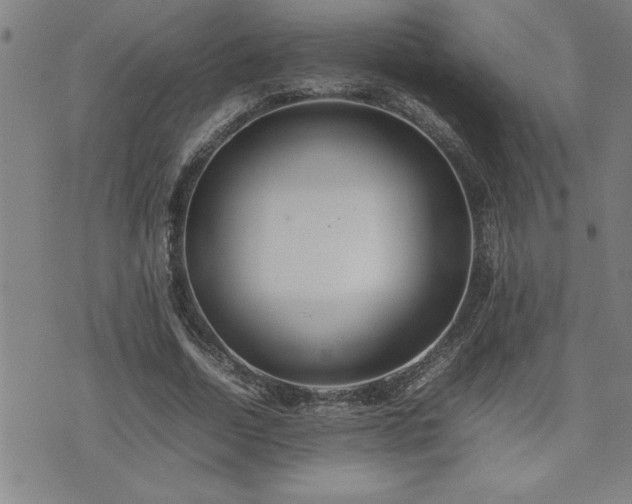 X0000074930730200609011050