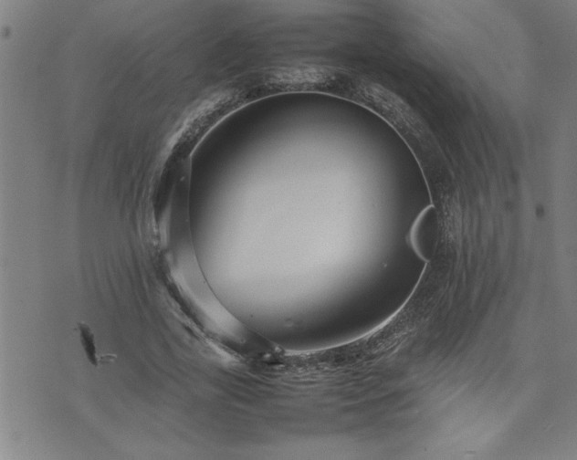 X0000074930731200609011050