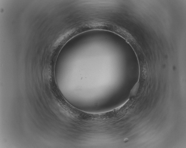 X0000074930732200609011050