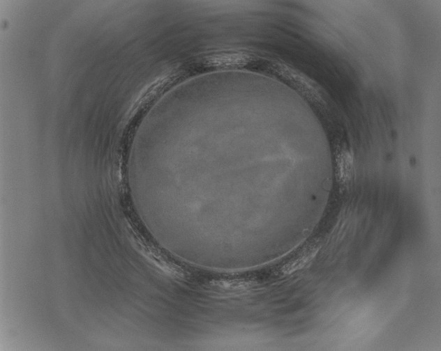 X0000074930733200609011050