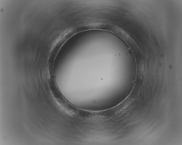 X0000074930734200609011050