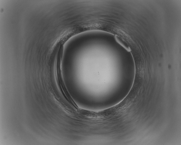 X0000074930735200609011050