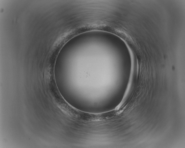 X0000074930736200609011050