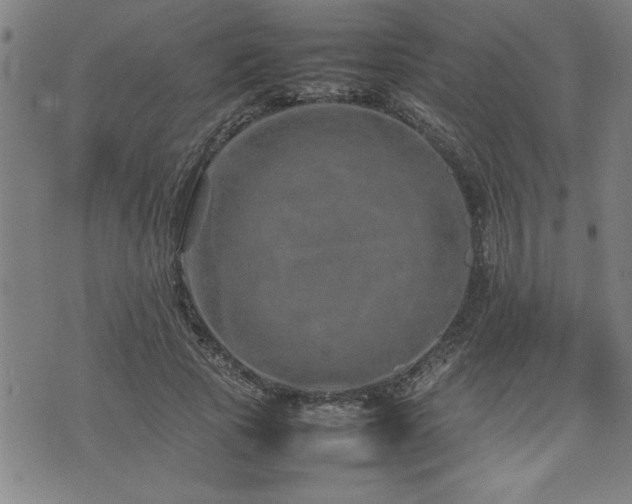 X0000074930737200609011050