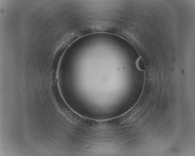 X0000074930738200609011050