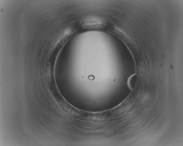 X0000074930739200609011050