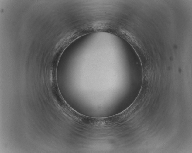 X0000074930740200609011050