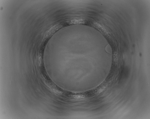 X0000074930741200609011050