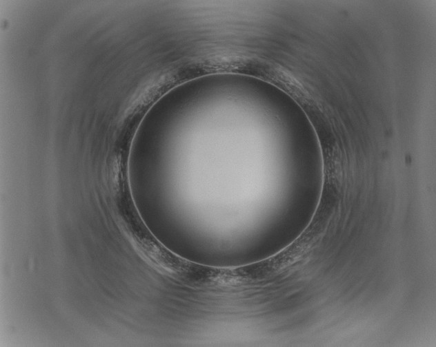 X0000074930742200609011050