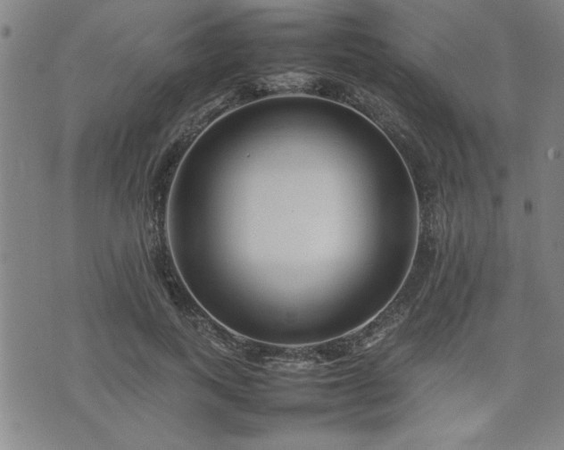 X0000074930743200609011050