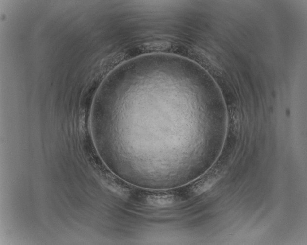 X0000074930745200609011050