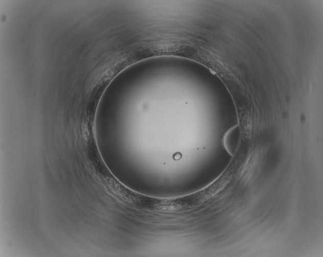 X0000074930746200609011050