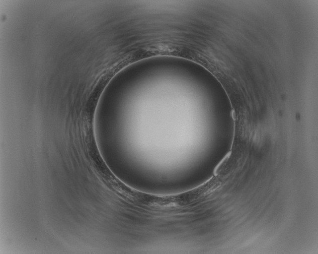 X0000074930747200609011050