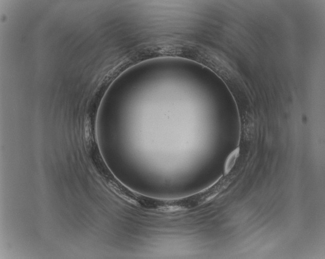 X0000074930748200609011050