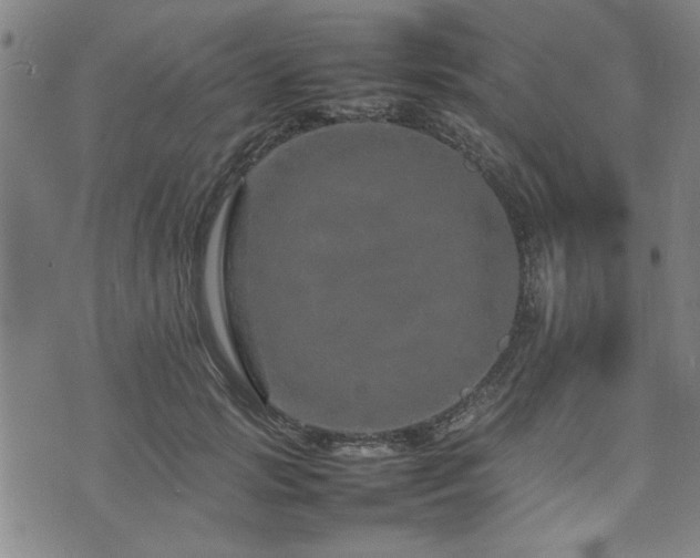 X0000074930749200609011050