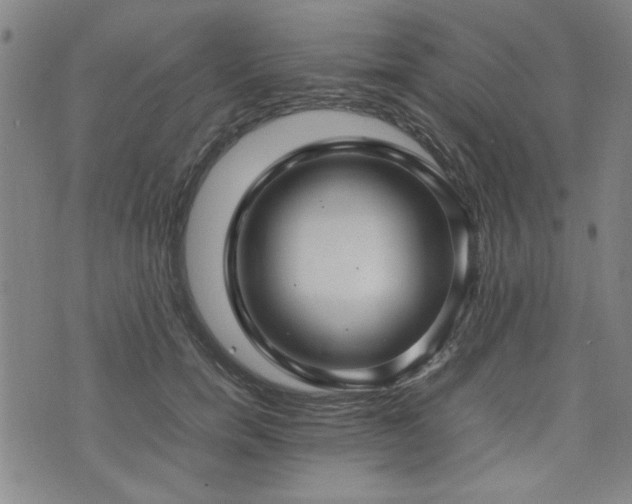 X0000074930750200609011050