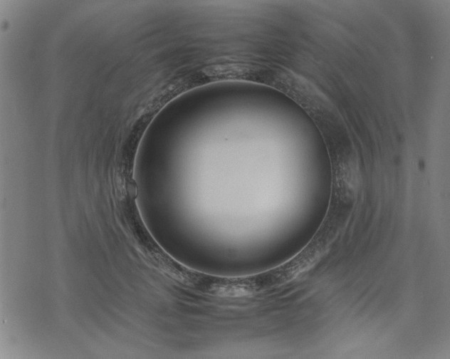 X0000074930751200609011050