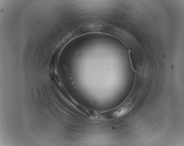 X0000074930752200609011050