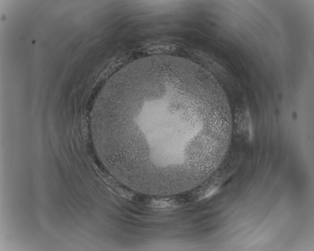 X0000074930753200609011050