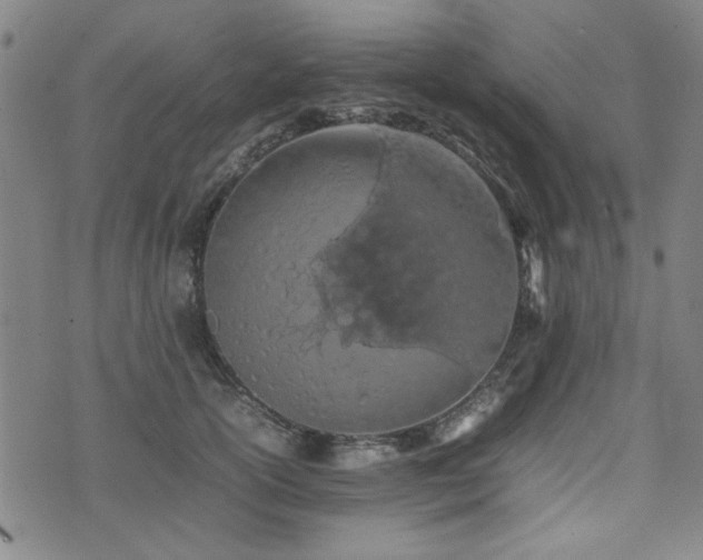 X0000074930754200609011050