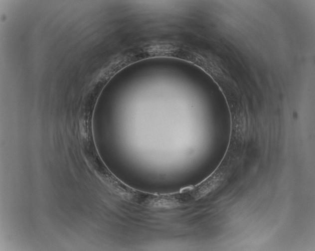 X0000074930755200609011050