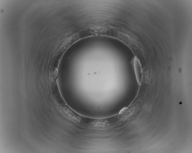 X0000074930756200609011050