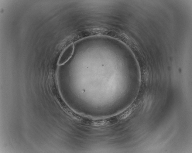 X0000074930757200609011050