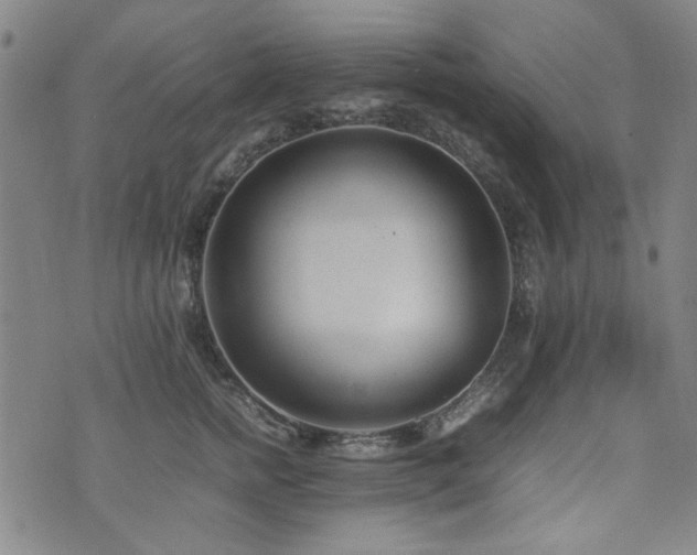 X0000074930758200609011050