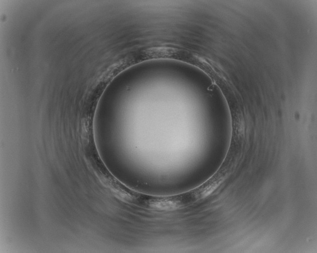 X0000074930759200609011050