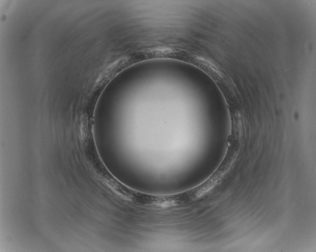 X0000074930760200609011050