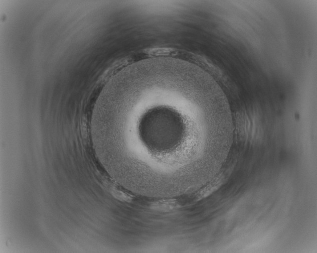 X0000074930761200609011050