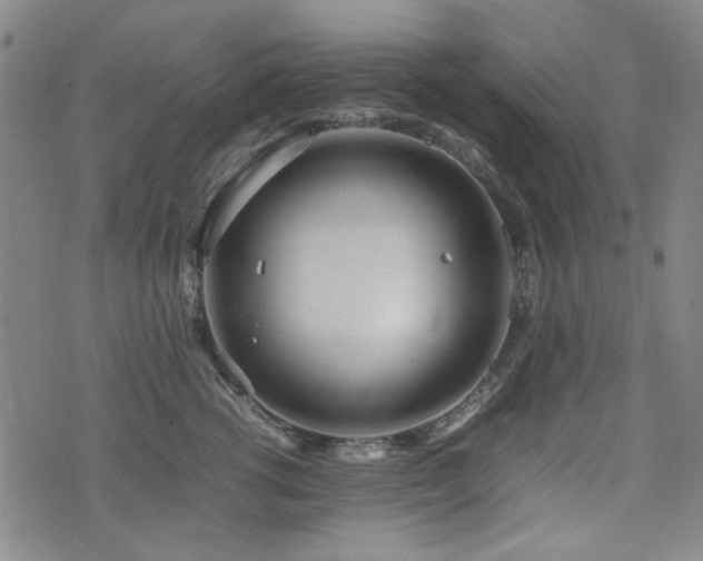 X0000074930762200609011050