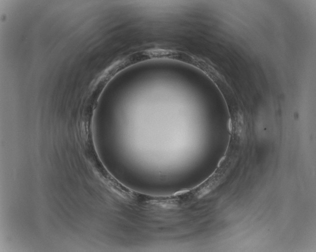 X0000074930763200609011050