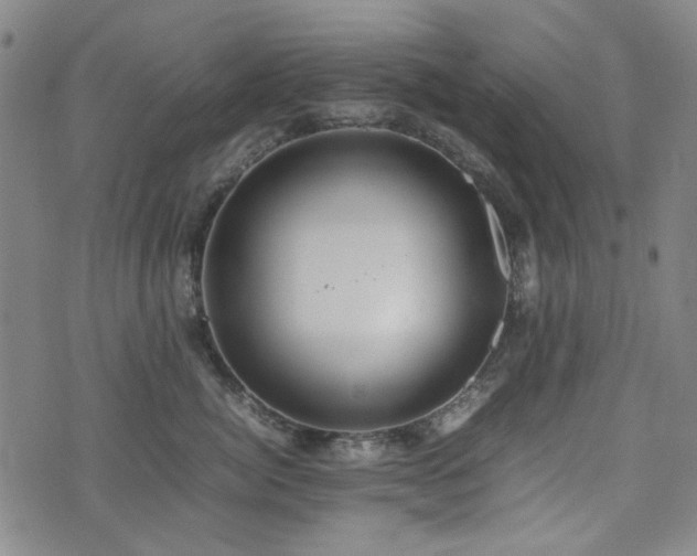 X0000074930764200609011050