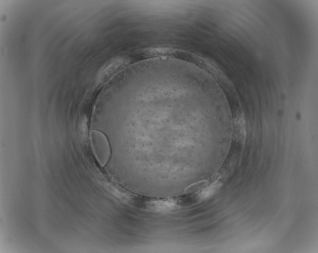 X0000074930765200609011050