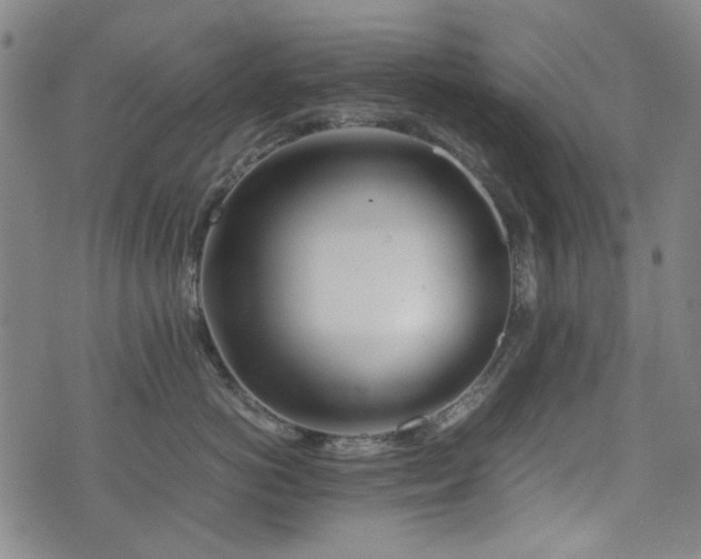 X0000074930766200609011050