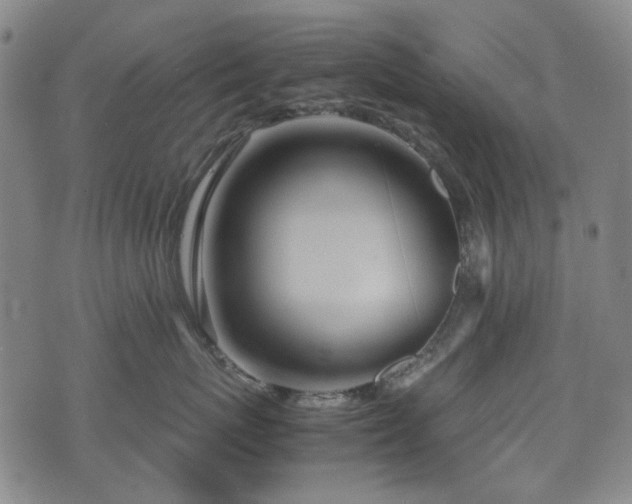 X0000074930767200609011050