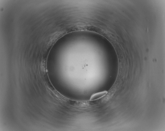 X0000074930768200609011050