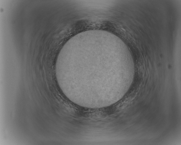 X0000074930769200609011050