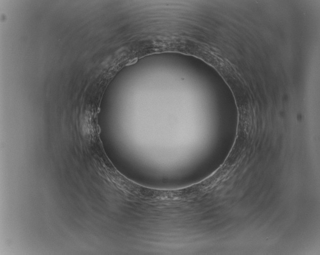 X0000074930770200609011050