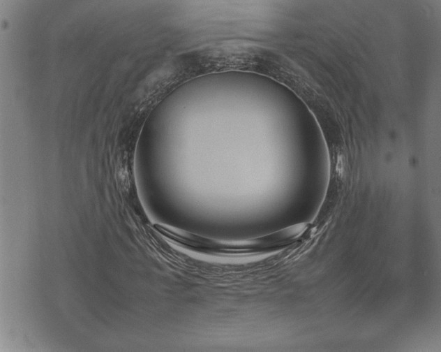 X0000074930771200609011050