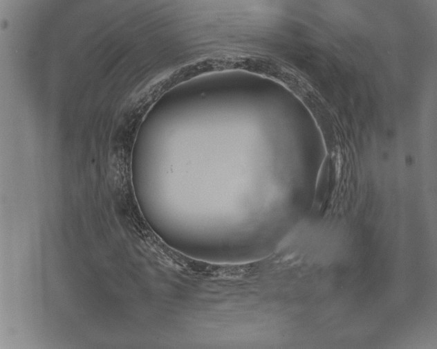 X0000074930773200609011050