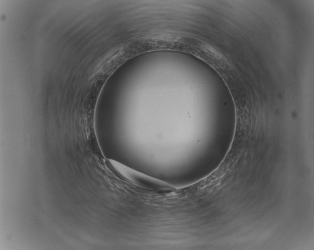 X0000074930774200609011049