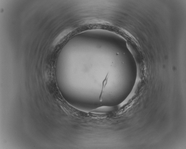 X0000074930775200609011049