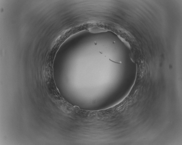 X0000074930776200609011049