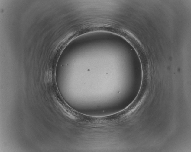 X0000074930777200609011049