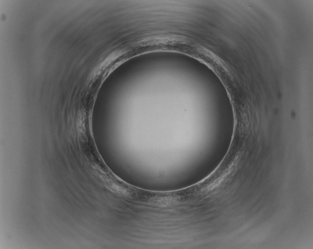 X0000074930778200609011049