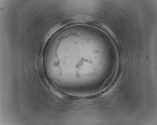 X0000074930779200609011049